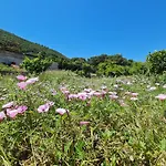 El Collado 度假居 *