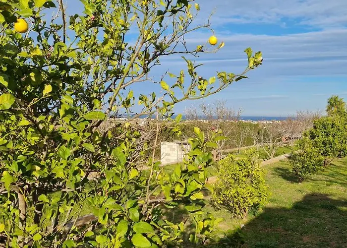 El Collado Cullera