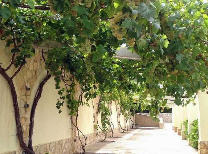 El Collado Hébergement de vacances