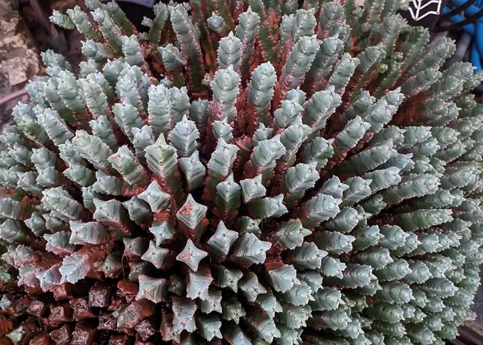 Holiday home El Collado Cullera