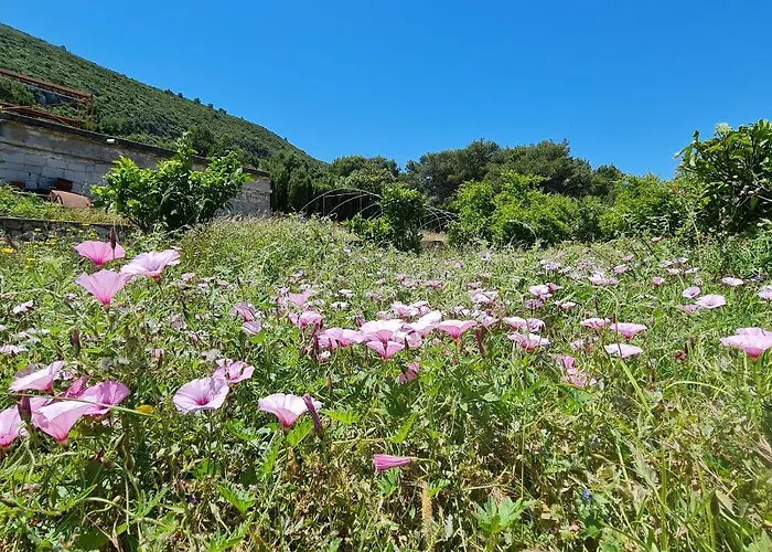 El Collado Holiday home *