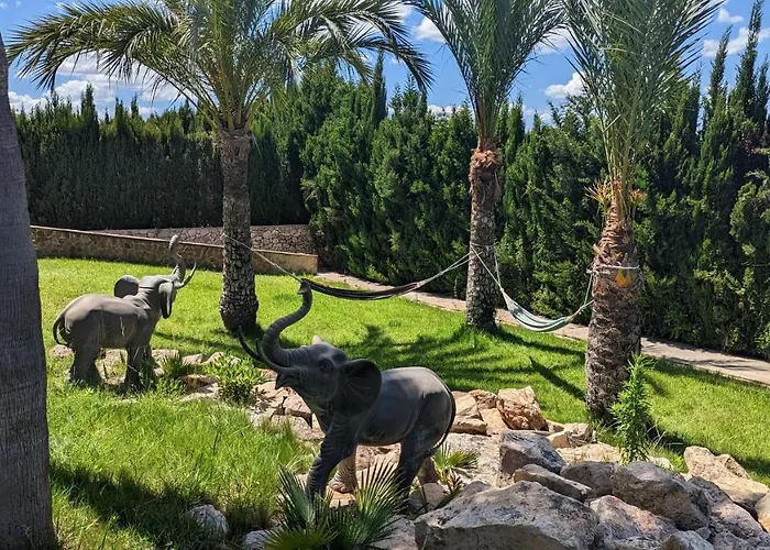 El Collado * Cullera